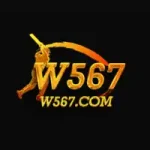 W567 Game