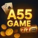 A55 Game